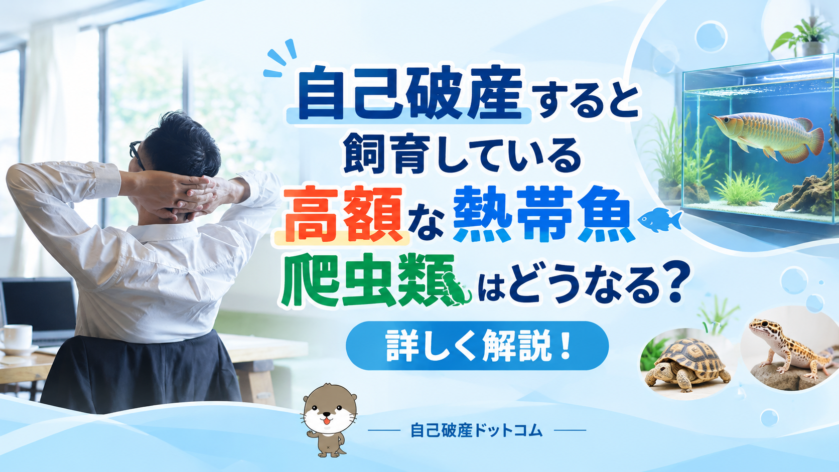 自己破産ドットコム